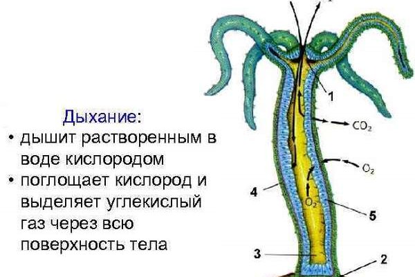 Mega даркнет отзывы