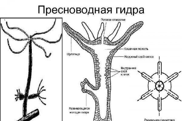 BlackSprut отзывы