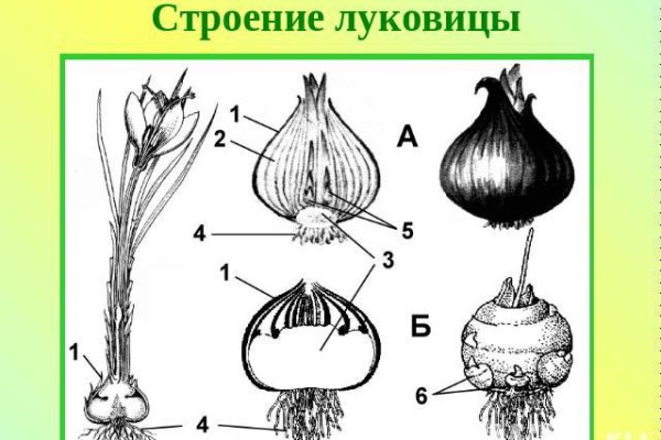 Omg omgruzxpnew4af onion не работает в тор