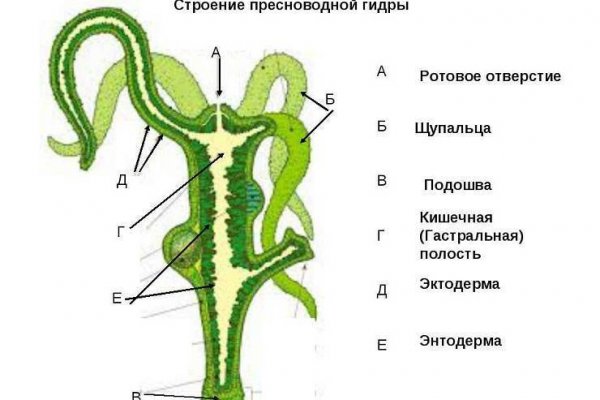 Как зайти на сайт мега онион